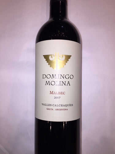 Malbec 2017 Domingo Molina, Salta Argentina,